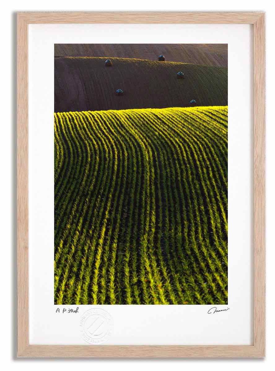 絵本49冊まとめ売り MK11290むぎむぎ 絵本 40冊 まとめ売り 絵本