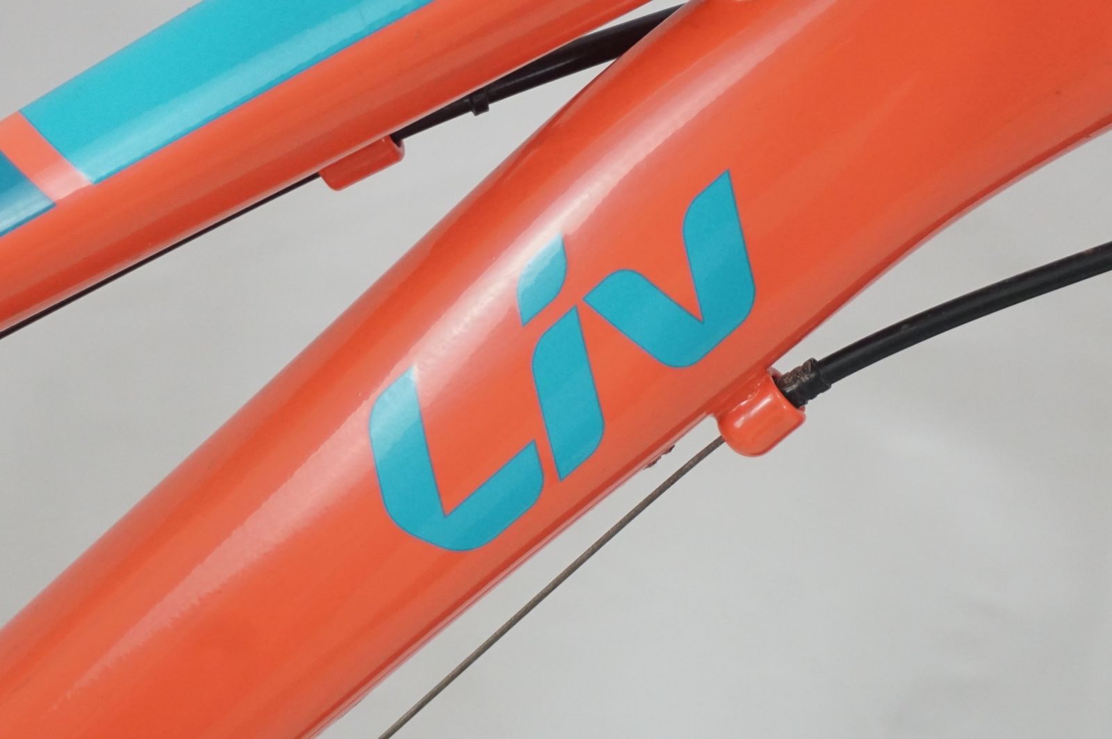 GIANT 「ジャイアント」 LIV ENCHANT 20 LITE 2021年モデル 20インチ 