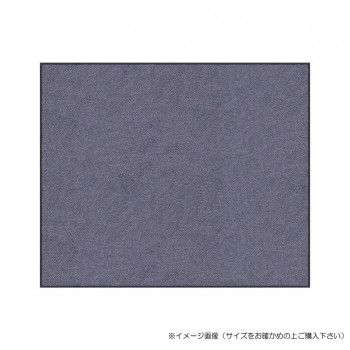クリーンテックス) スタンダードマットS シルバー 50×75 cm