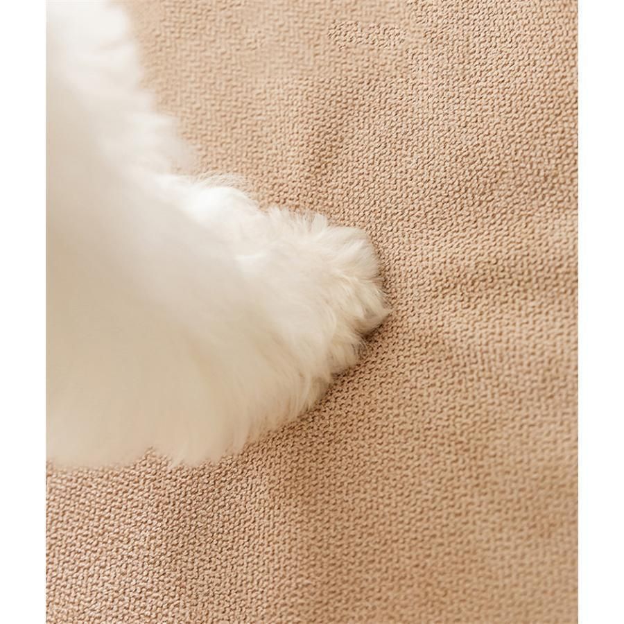 犬