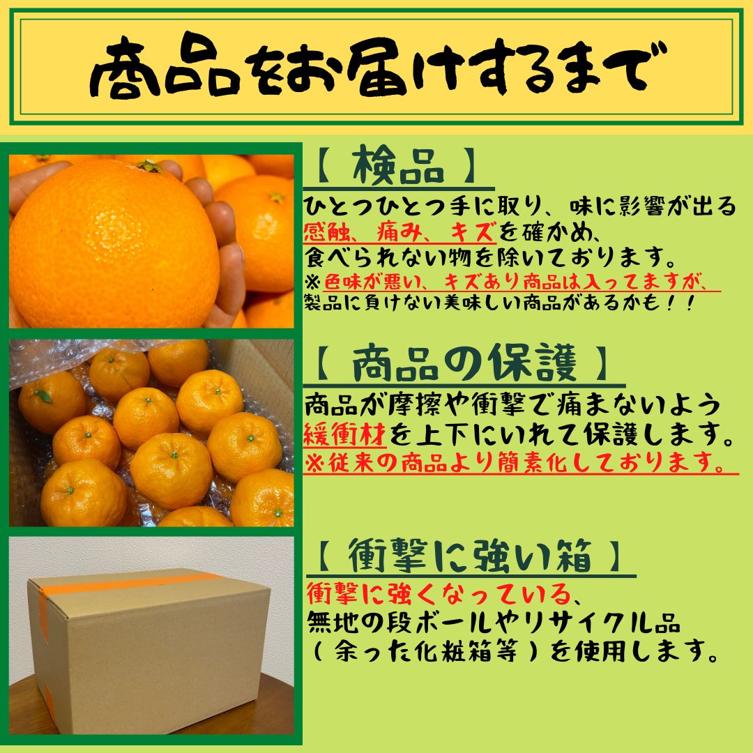 高糖度まどんな】愛媛県産￥500OFF！Lサイズ 愛果28号 5Kg - 愛媛の