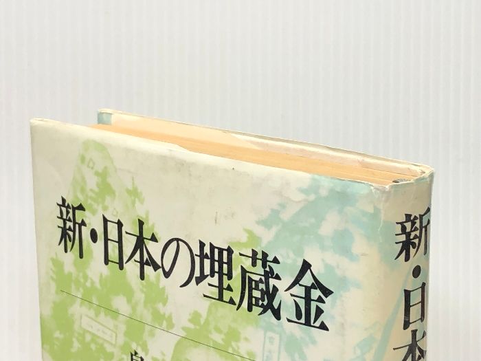 【値下げ】レア「日本の埋蔵金 」畠山清行★ 上下巻 値下げ】レア「日本の埋蔵金 」畠山清行☆ 上下巻 - メルカリ