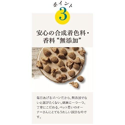 ドライ