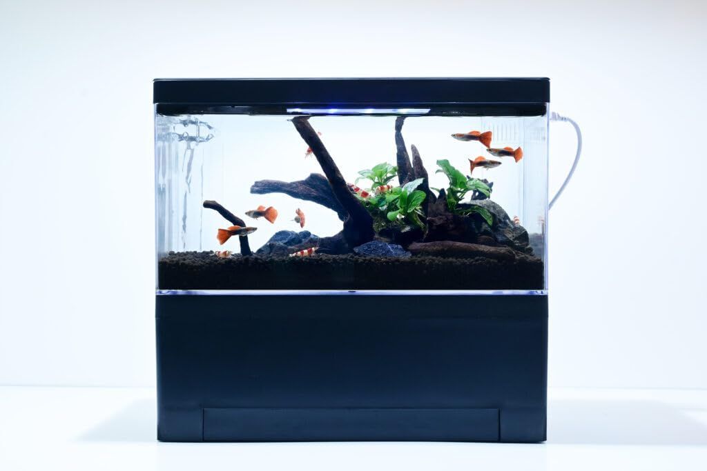 ジャグレストーン 8kg ada dooa ADA DOOA 水槽セット