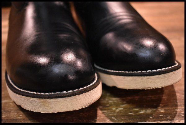 貴重！高品質 ブチハイエナの頭骨 A（鼻甲介有） 貴重！高品質 ブチハイエナの頭骨 A（鼻甲介有）