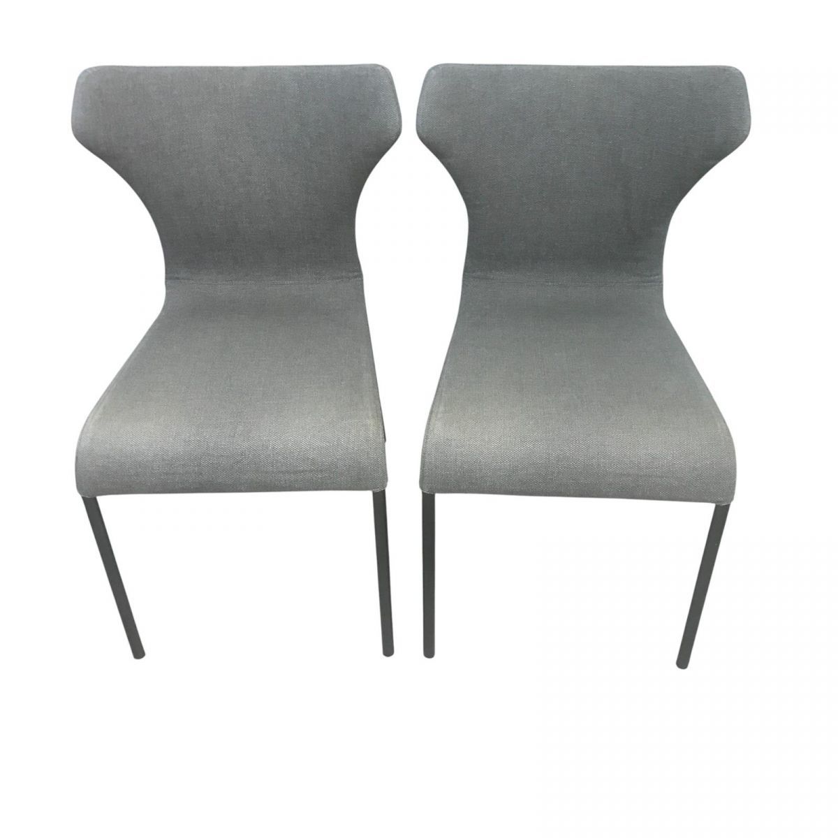 PAPILIO パピリオ