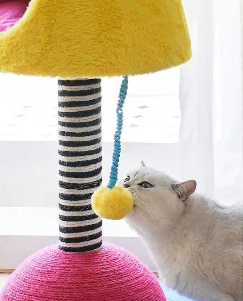 運動不足 猫