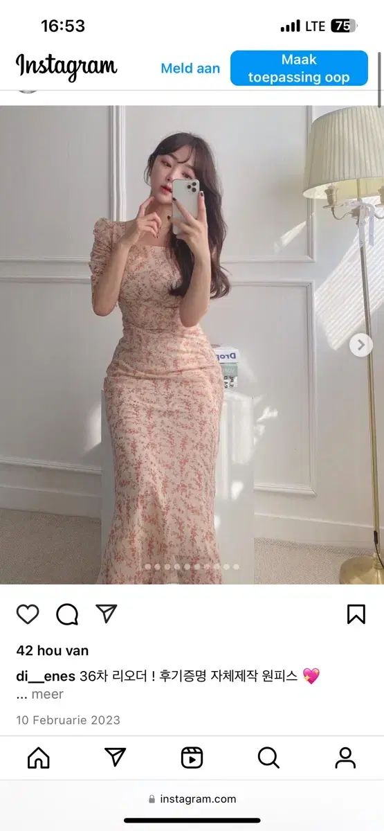 ディエネスワンピース オリジナル商品 フラワーシフォンロングドレス