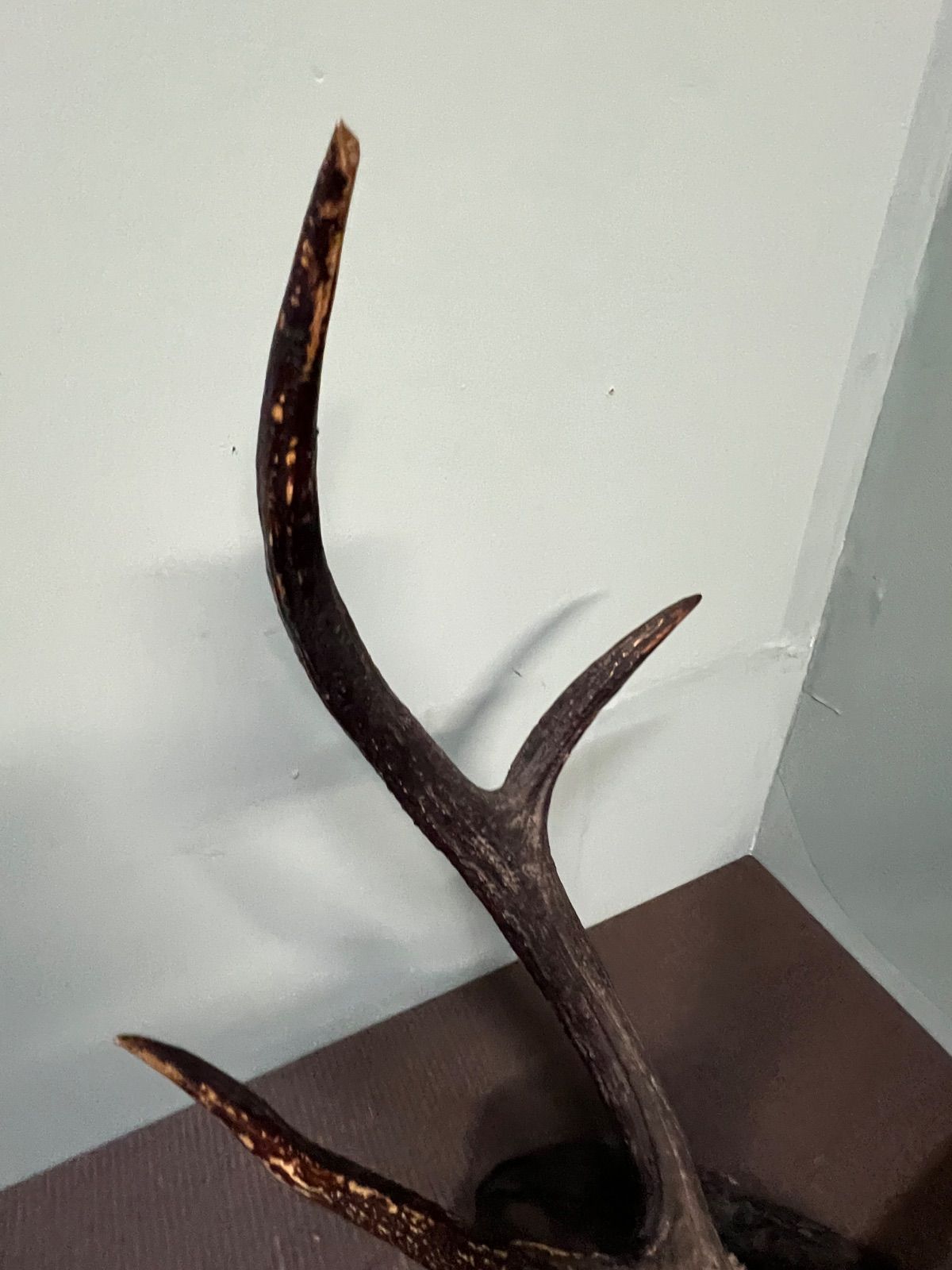 中国 篆刻 玉石田黄石彫刻 山水人物文刻 印材 M R3624 篆刻家【石卿