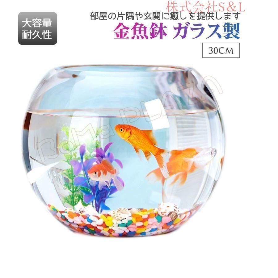 金魚鉢　30cm 614LY1Ng1CL._UF894,1000_QL80_.jpg