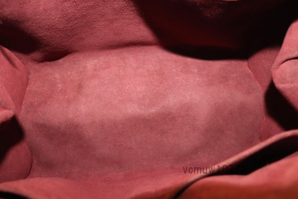 近年モデル希少美中古□LOUIS VUITTON モノグラム シャイニー ドッグPM  