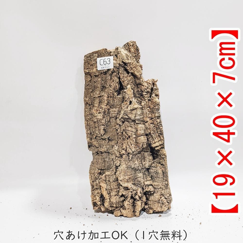 SD205 ポルトガル産 キャノンコルク コルク樹皮 コルク板　バージンコルク SD205 ポルトガル産 キャノンコルク コルク樹皮 コルク板