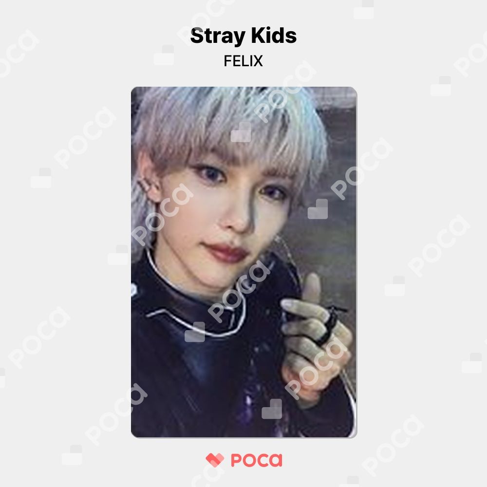 straykids フィリックス スキズ トレカ IN生 IN LIFE STANDARD