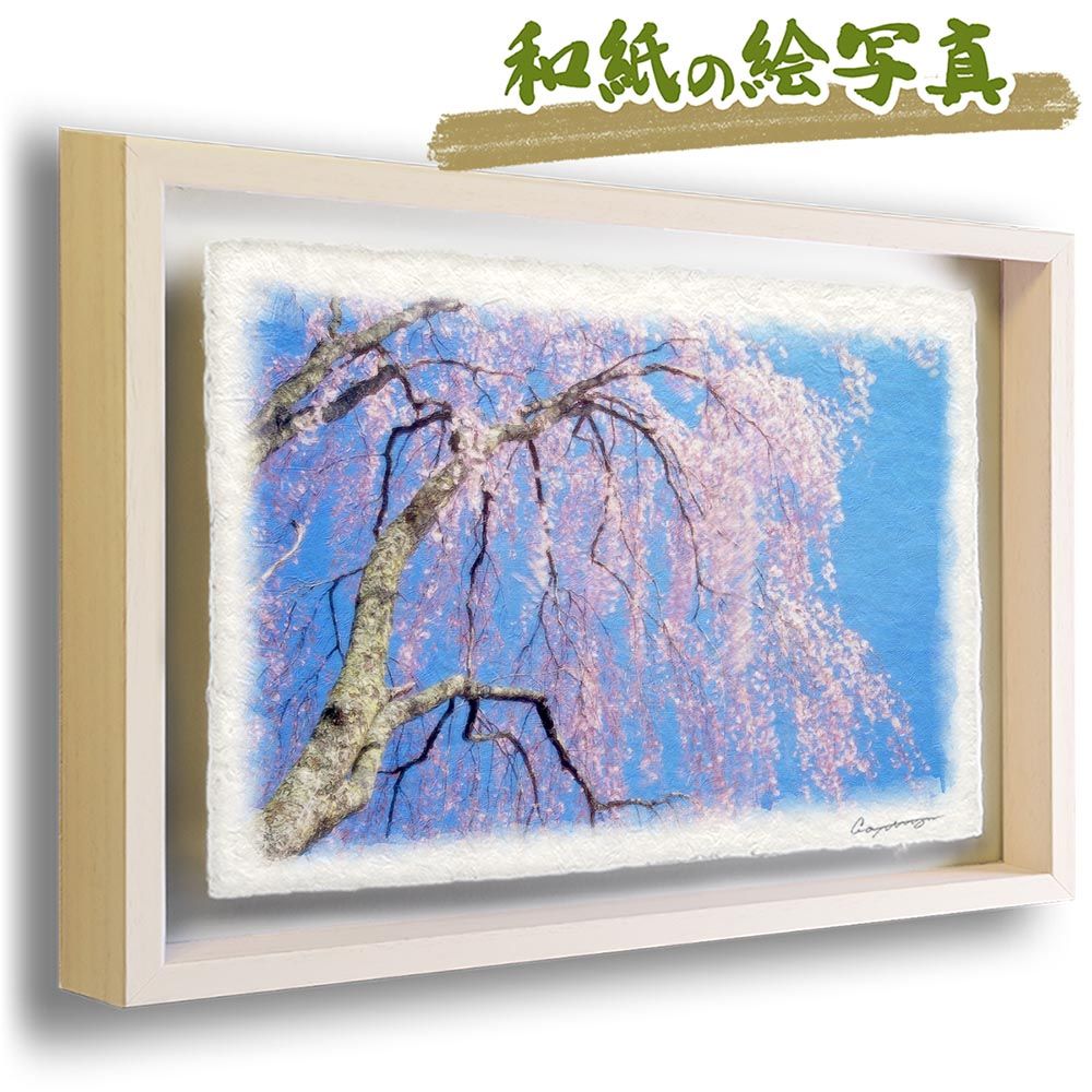 和紙の絵写真 「青空と風に揺れるしだれ桜」 立体額縁付き 31x23cm