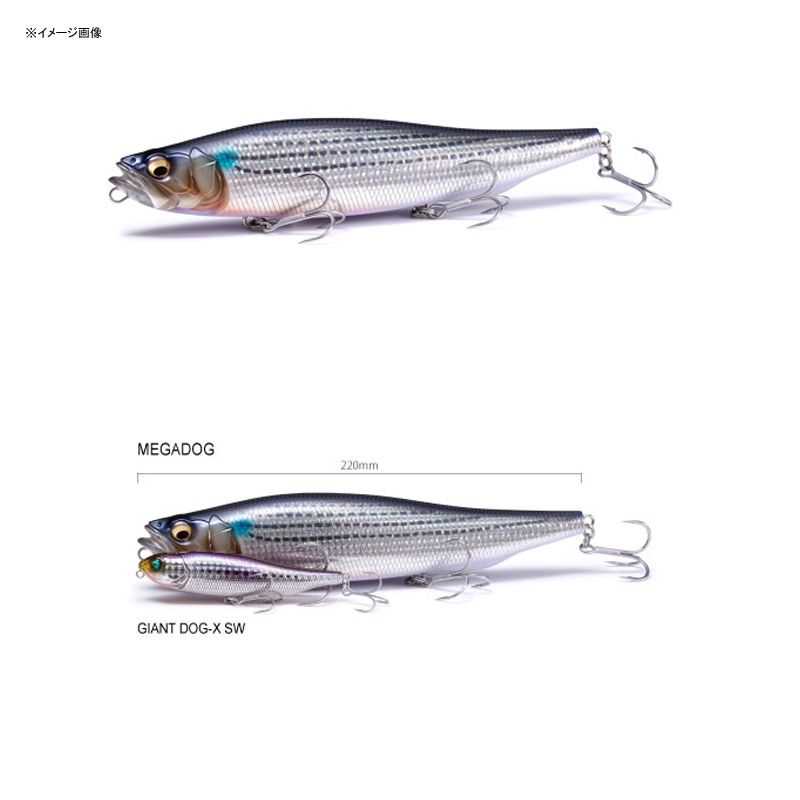 メガバス(Megabass)] MEGADOG(メガドッグ) ライブシャイナー