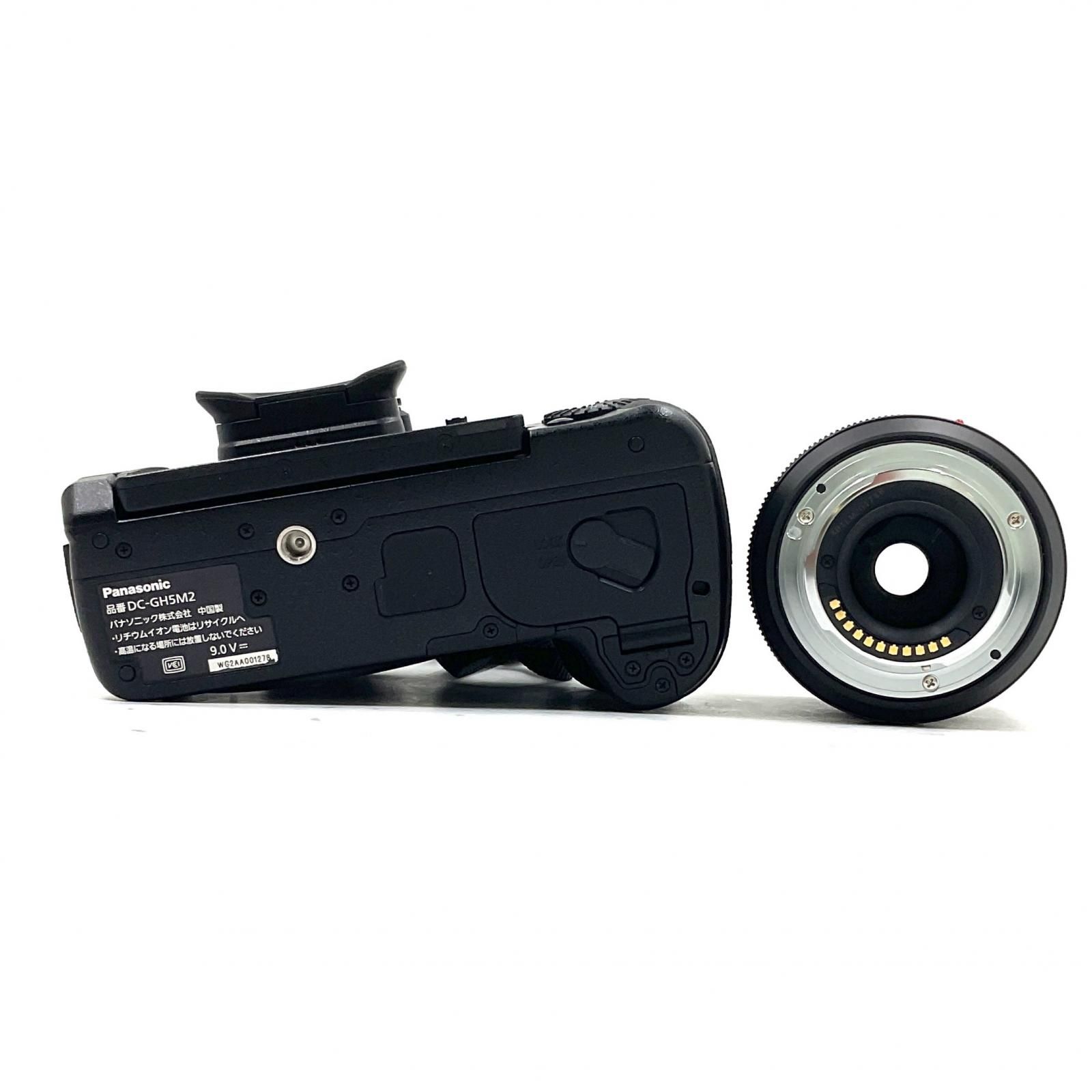 Panasonic