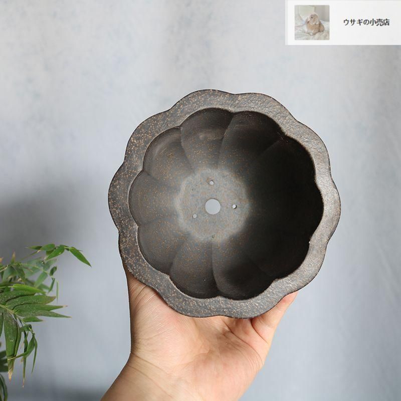 蓮華盆 紫砂盆鉢 盆栽鉢 植木鉢 小品盆栽鉢 大品盆栽鉢 - メルカリ