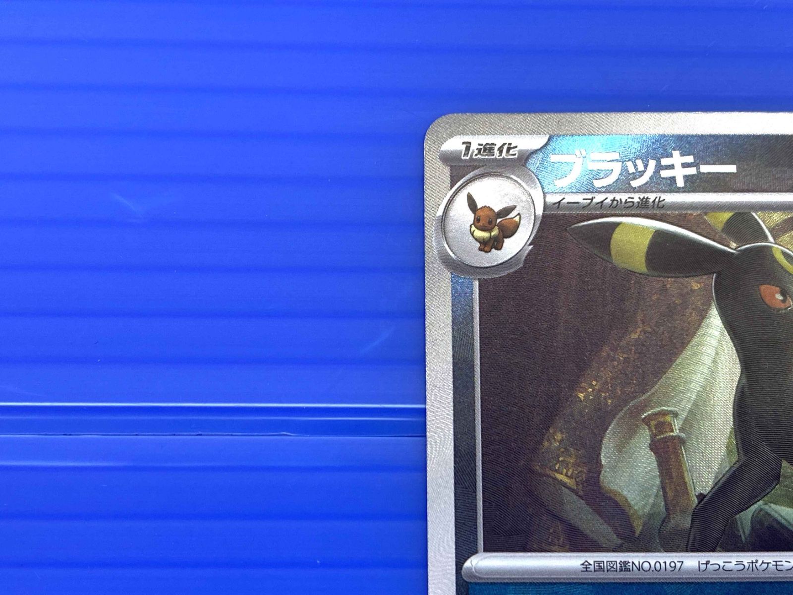 ポケモンカード ブラッキー マスターボールミラー テラスタルフェスex