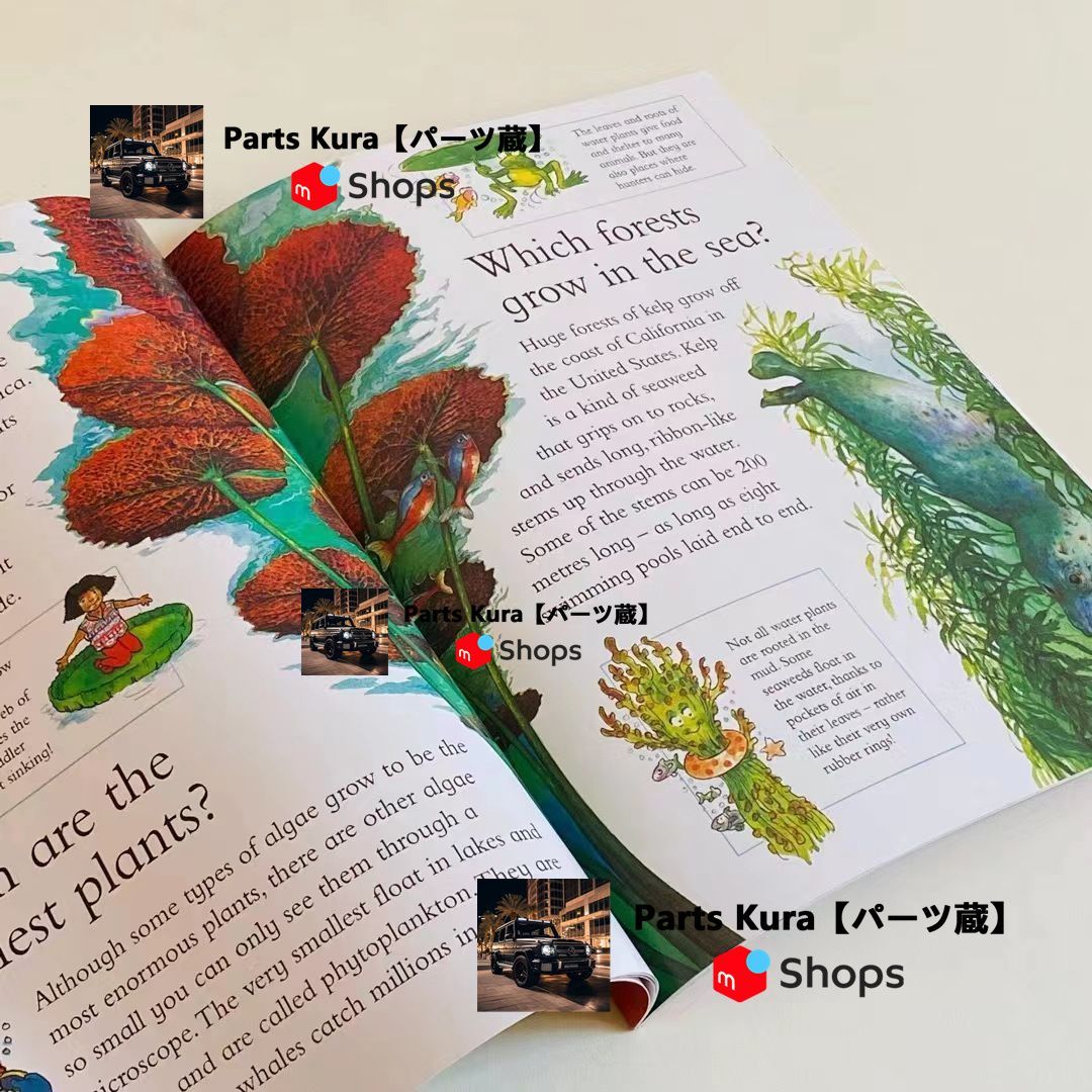 新品I Wonder Why 25冊セット英語絵本 新品未使用 25冊セットI WONDER WHY絵本 - メルカリ