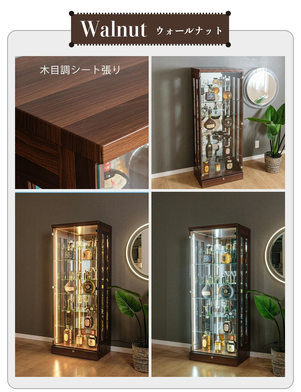棚