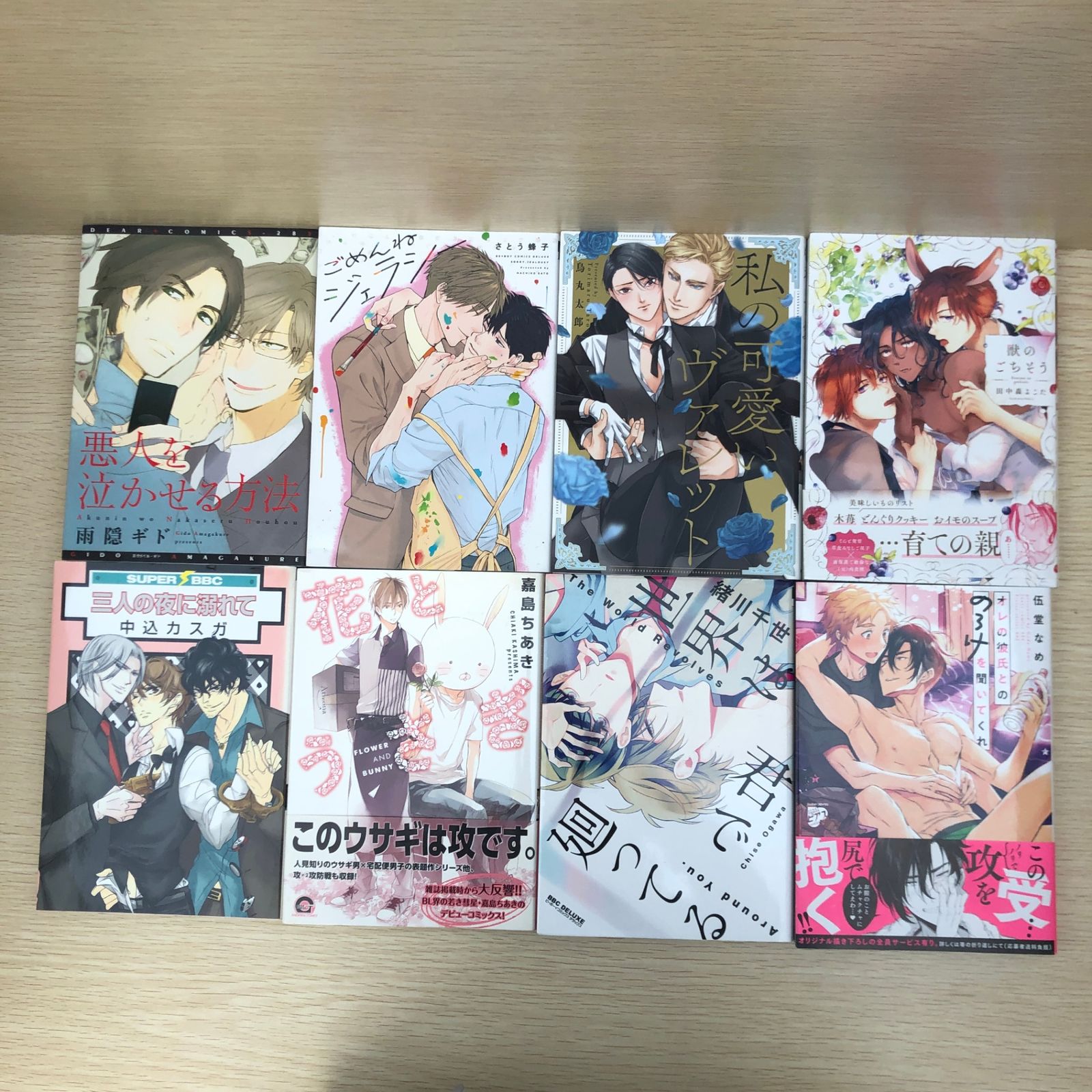 初版多数】BL漫画25点まとめ売りセット/【作者】雨隠ギド 他/GF