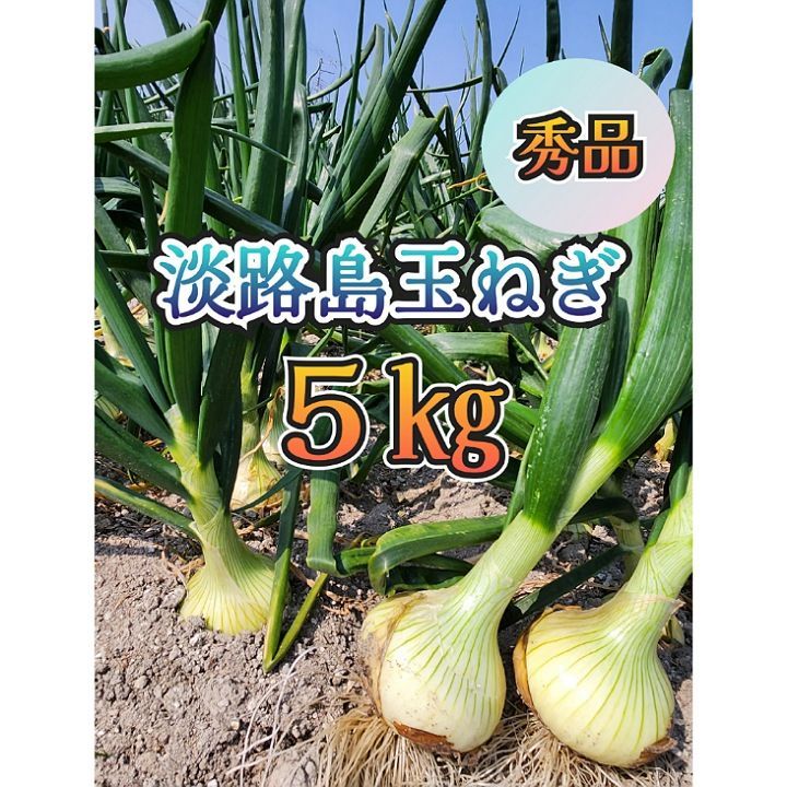 淡路島産 新玉ねぎ 極早生 5キロ - 野菜