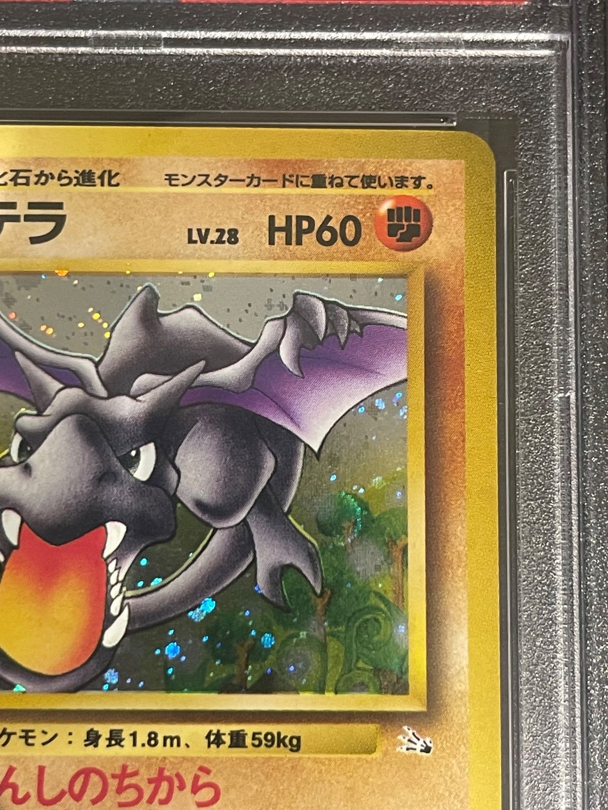 ポケモンカード 1997年 プテラ 旧裏 PSA 8鑑定品 ポケモンカード 1997年 プテラ 旧裏 PSA 8鑑定品 - メルカリ