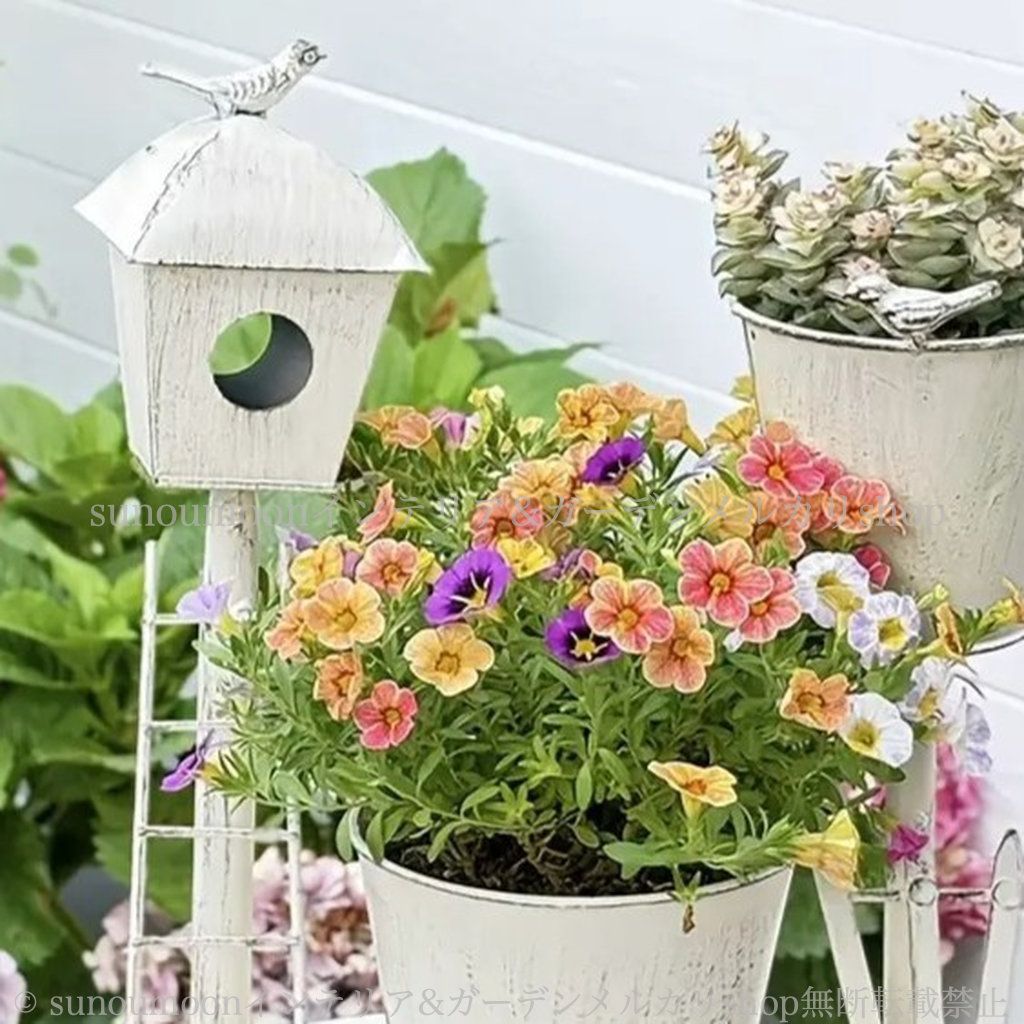 シャビー加工 庭の装飾 ヴィンテージ調 ガーデン 鋳鉄製 インテリア おしゃれ 雑貨 植木鉢 ガーデン雑貨 鉢植え お洒落 4-7 シャビーシック ホワイト 防錆 ガーデンインテリア プランター ガーデニング STEELWINDOWSANDDOORS_COM