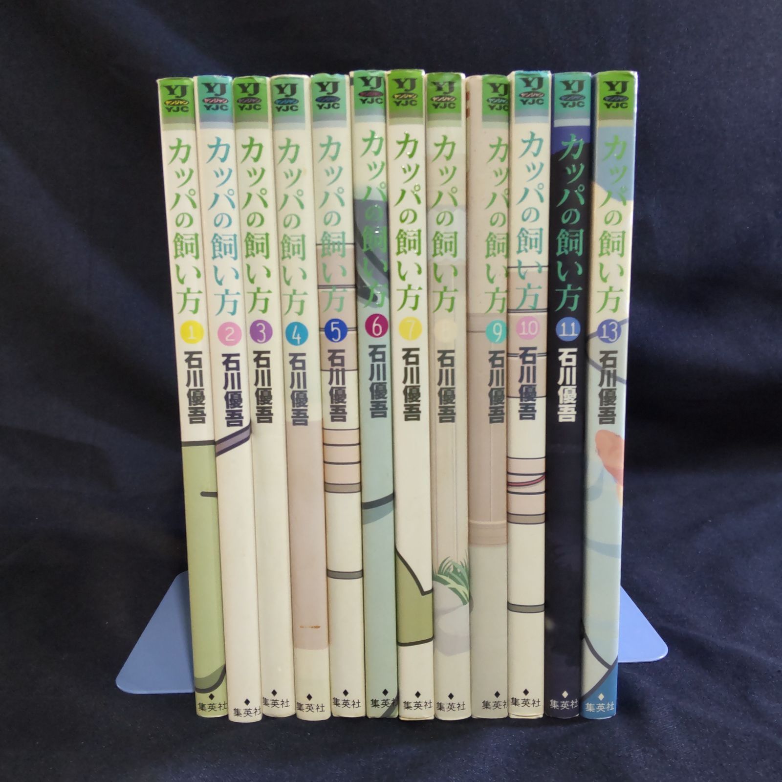 カッパの飼い方　石川優吾　マンガ本　漫画　12冊セット　Ⅼ189