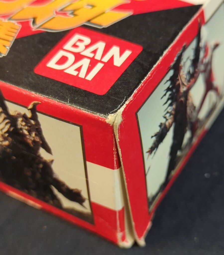 特出！アガベチタノタ海王（極上株）超S級強棘特大株super sea king