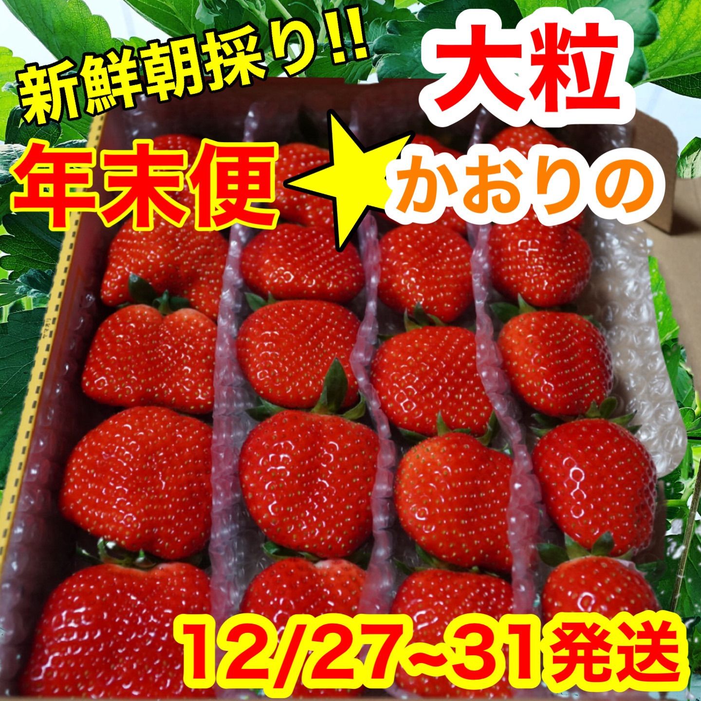 年末便】【大粒】新鮮朝採りかんちゃん農園の甘いいちご - メルカリ
