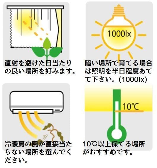 model インテリア