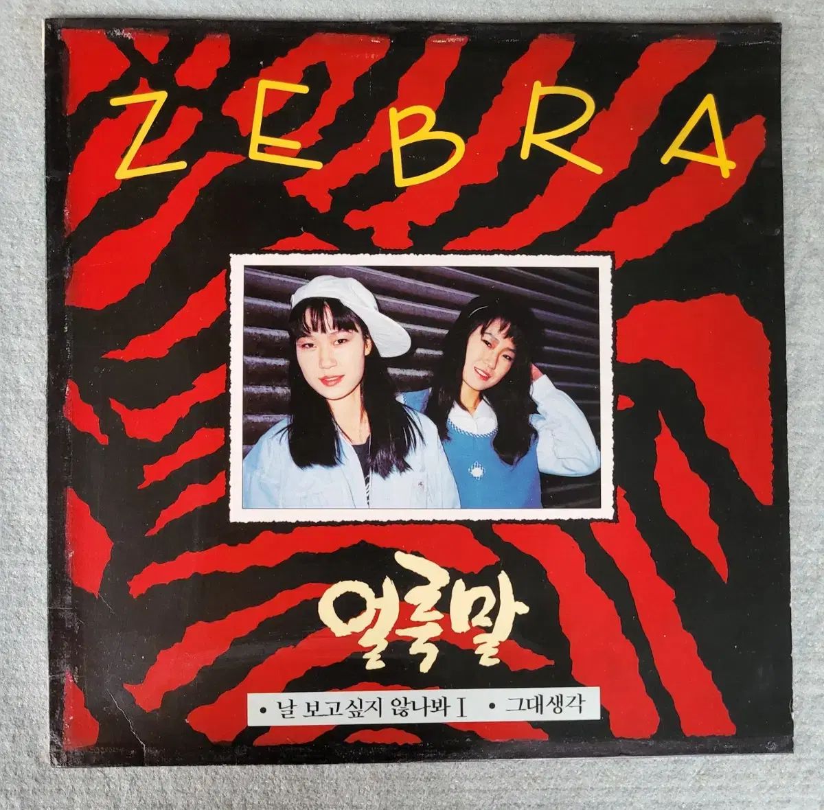 シマウマ ZEBRA LP ー デイ 見たい そうは思いません| あなたの考え