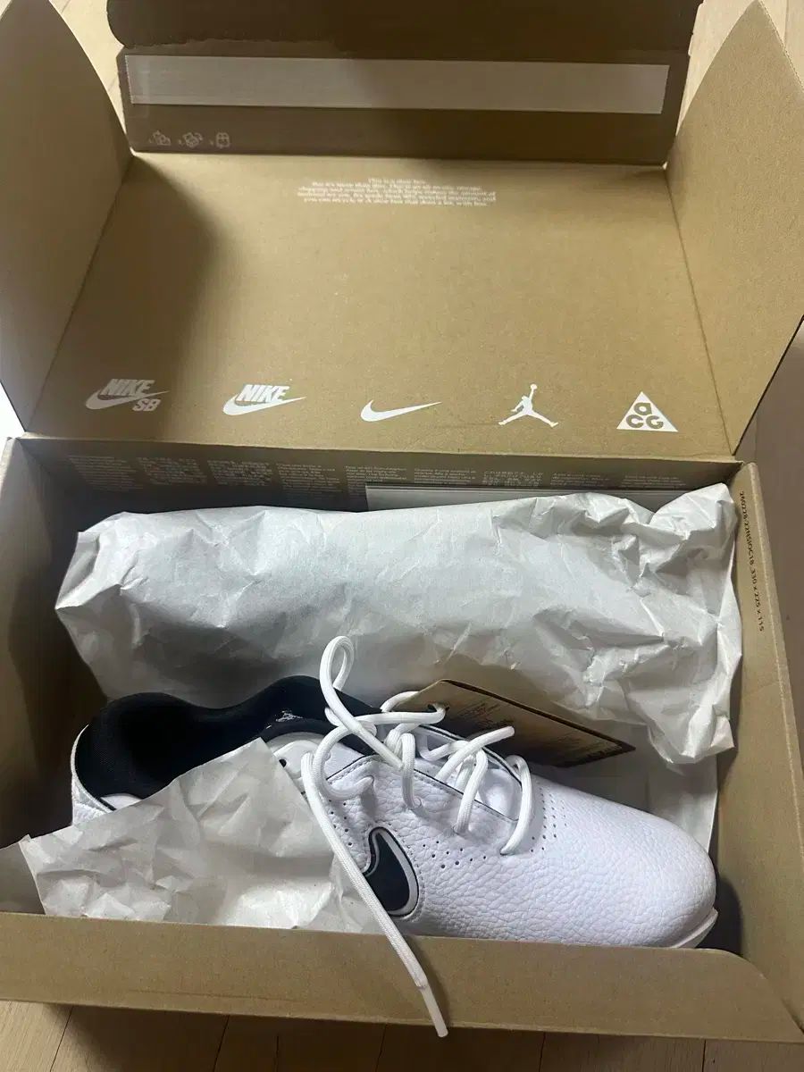 ゴルフシューズ NIKE ビクトリー プロ 3 260