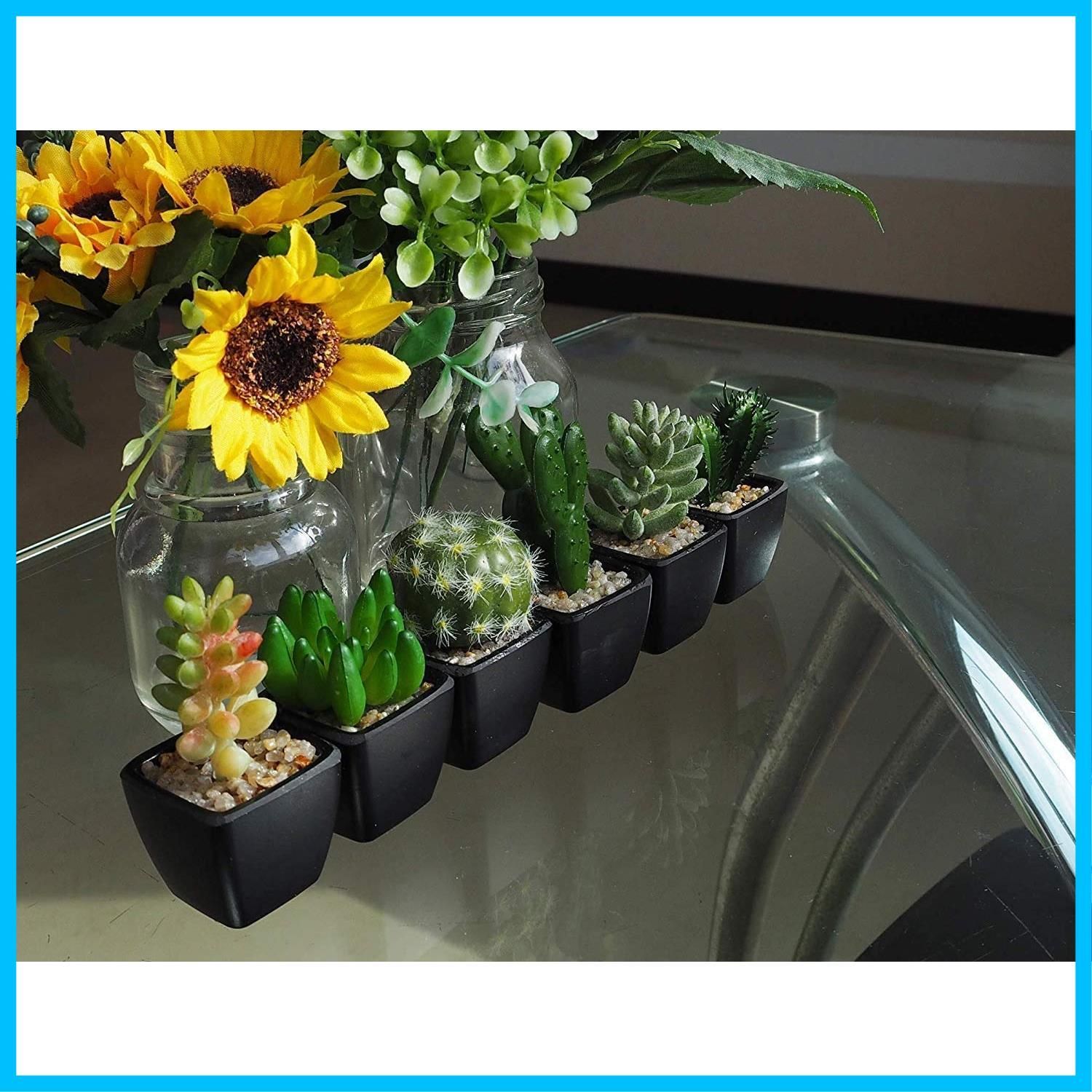人気商品 フェイクグリーン 多肉植物 人工観葉植物 NaturalGarden 手入れのいらない インテリア あミューズ 6種セット