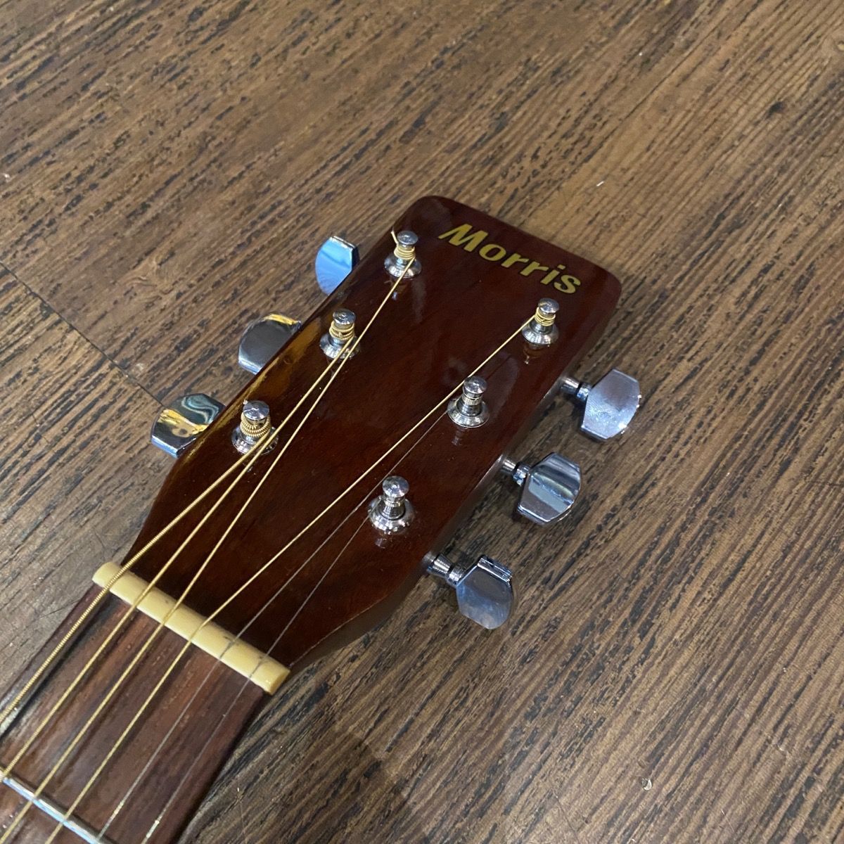 Morris MD-502 Acoustic Guitar アコースティックギター