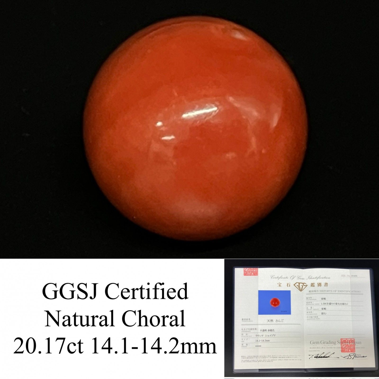 宝石鑑別書付き 天然 赤珊瑚 （ 珊瑚 サンゴ さんご ） 14.1-14.2