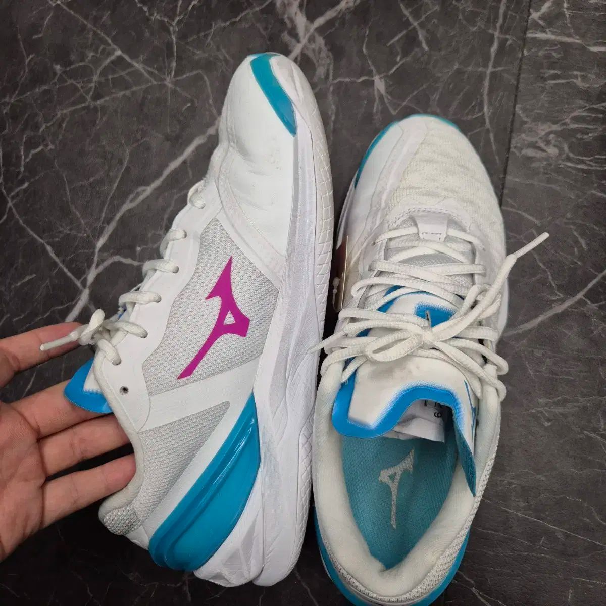 Mizuno ミズノ バドミントンシューズ 245