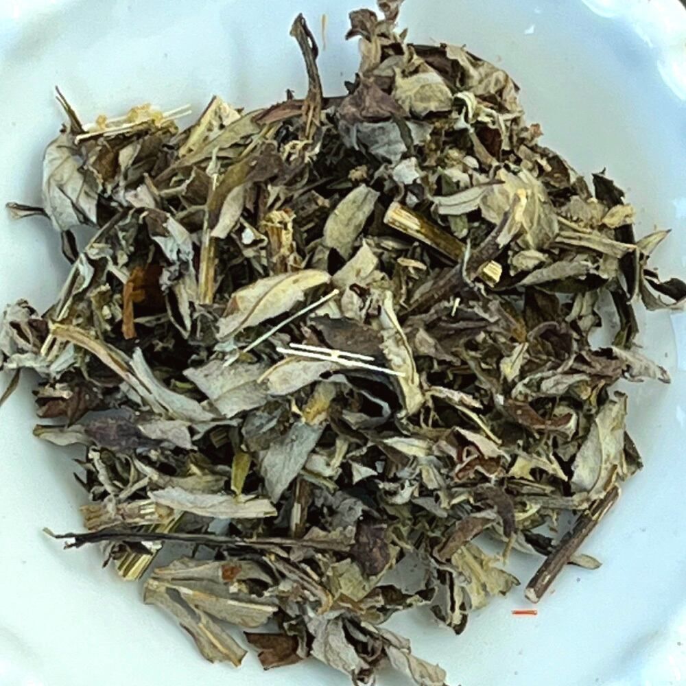 【ヨモギ 50g】よもぎ 蓬 ハーブの女王 ハーブ ハーブティー ノンカフェイン よもぎ茶 ドライハーブ 美容 健康
