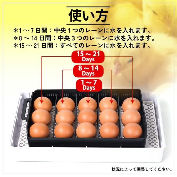 インキュベーター 自動孵卵器 ふか 鶏卵 12個 最大35個収容 恒温器