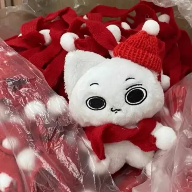 ボイネク ソンホ ぬいぐるみ 10cm 新品 マスター - メルカリ