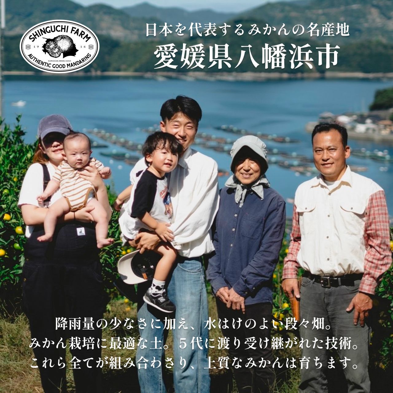 せとか 5kg