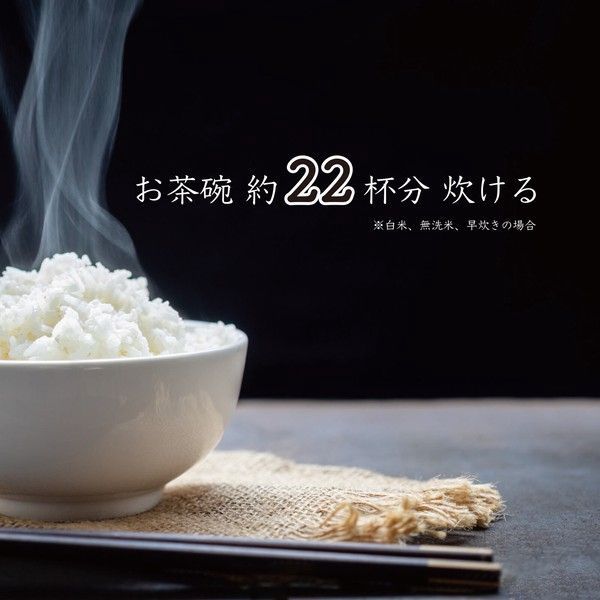 加楽炊き RM-223H