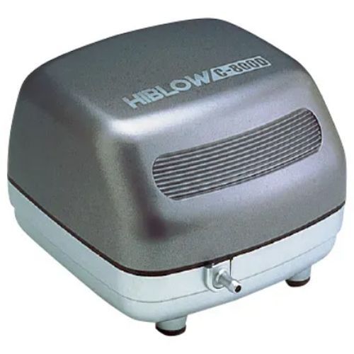 Ｃ－８０００