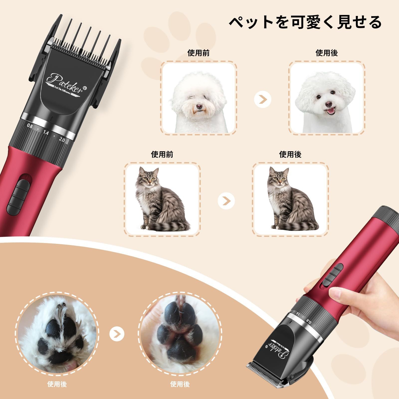 中型犬