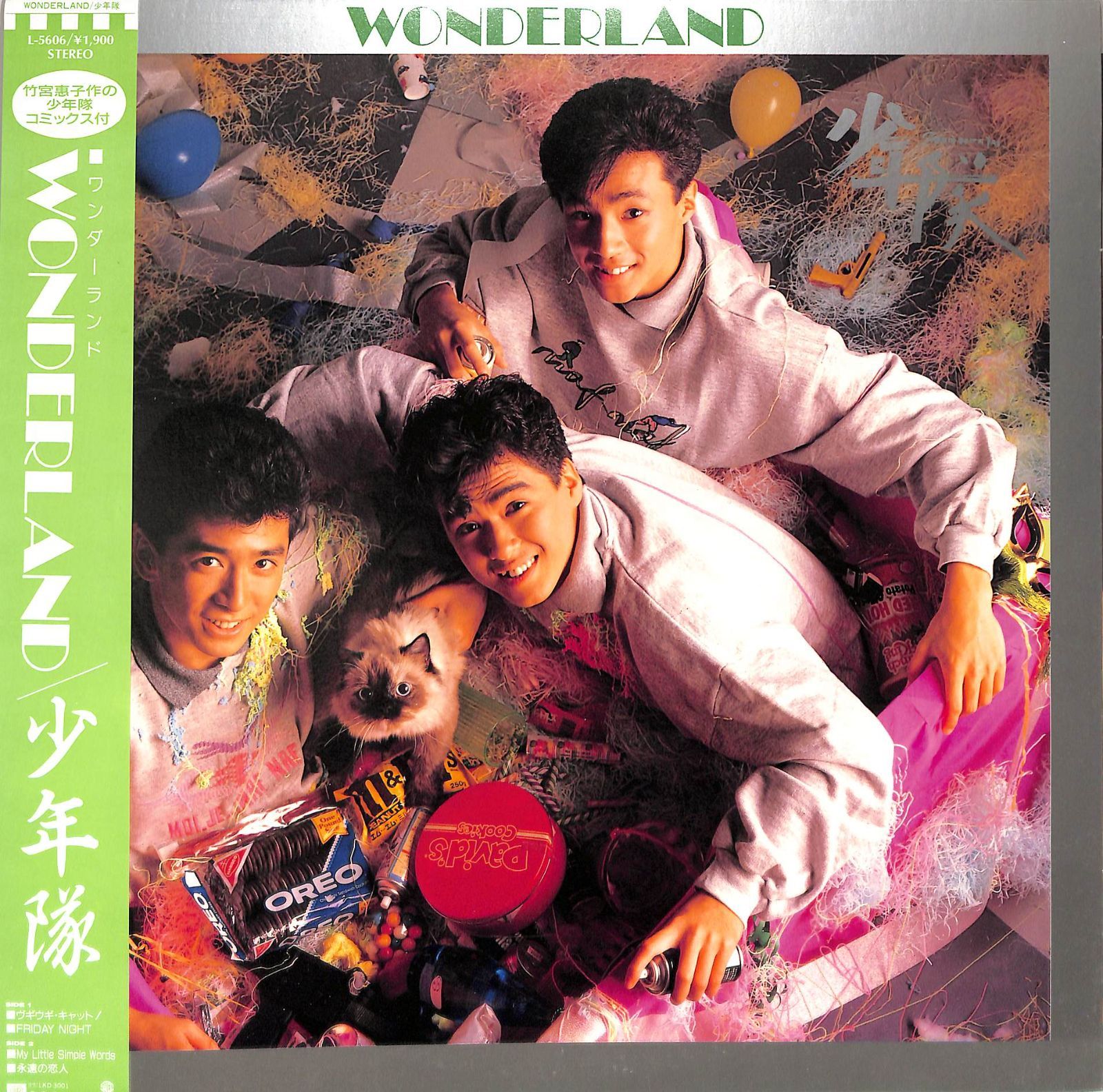 12インチ1枚 / 少年隊 (錦織一清・植草克秀・東山紀之) / Wonderland