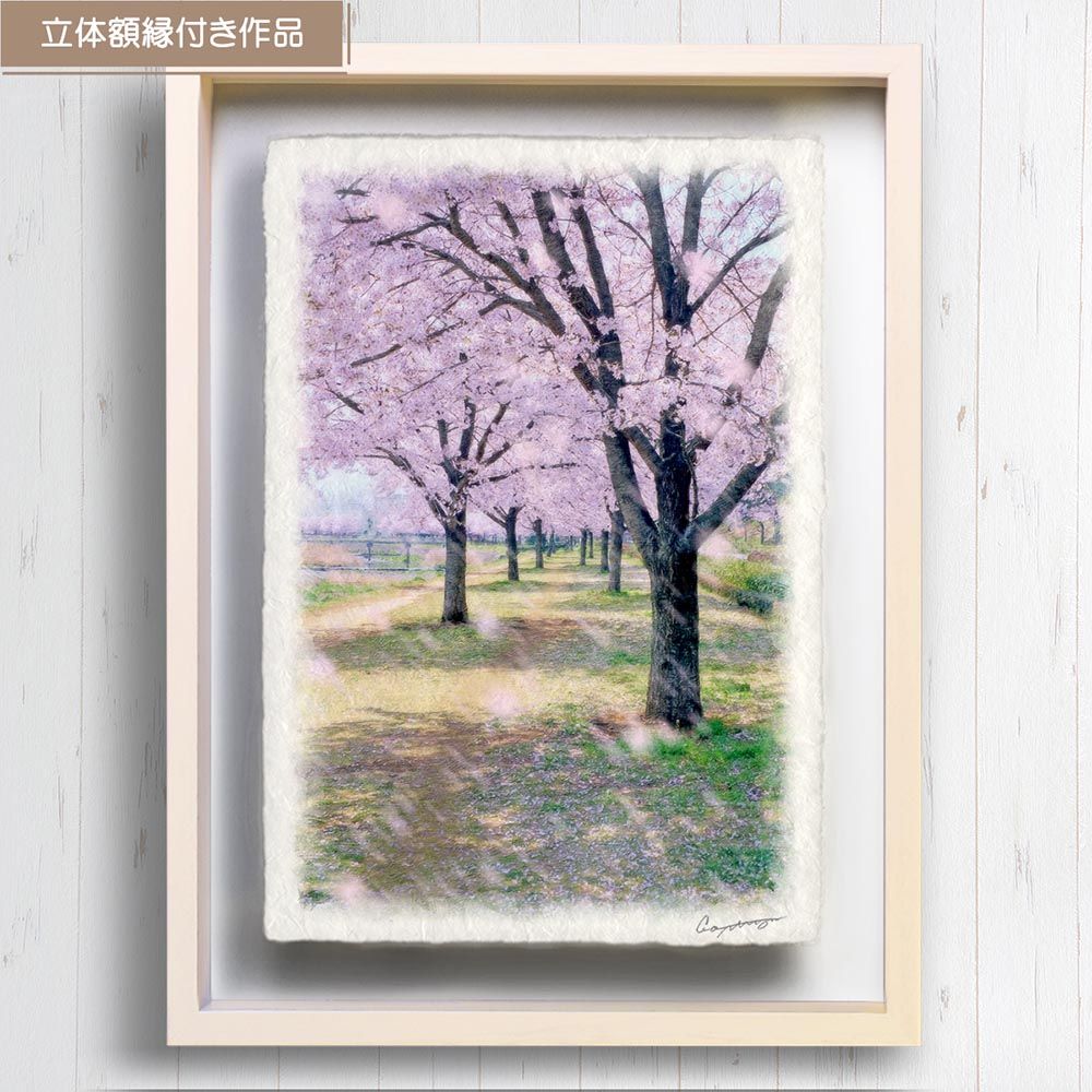 和紙の絵写真 「川沿いの桜並木と落ちた花びら」 立体額縁付き 31x23cm