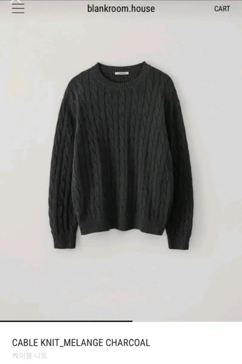 RAF SIMONS ラフシモンズ 10SS半袖Vネックニット48（RAF SIMONS