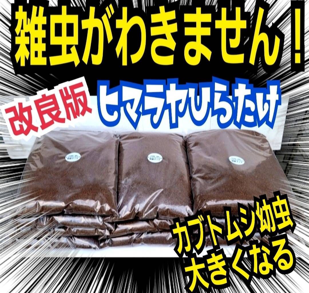 カブトムシ幼虫が大きくなる餌！発酵マット【3袋】モリモリ食べます