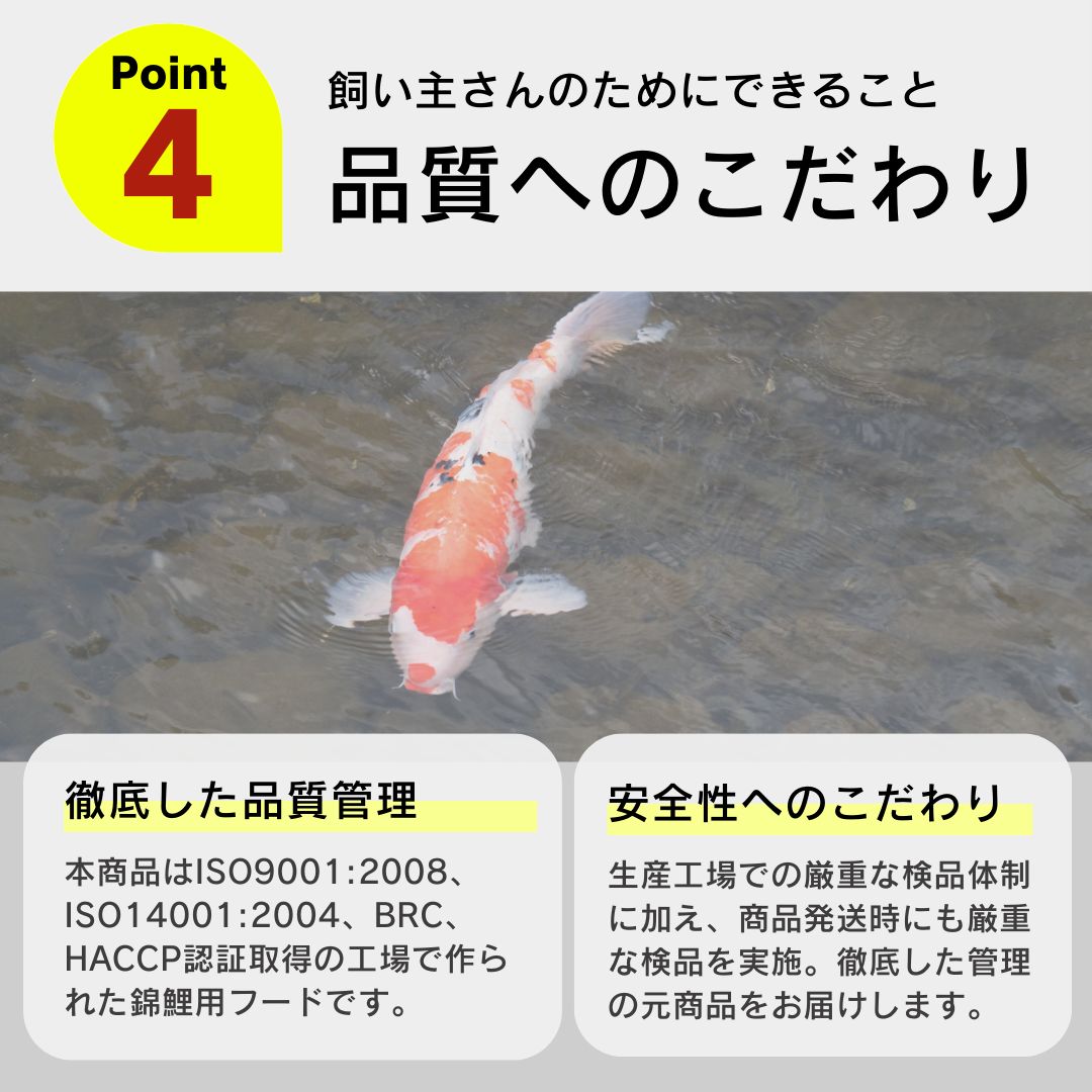 錦鯉飼料 錦鯉のエサ